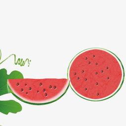 娱乐吃瓜酱素材库下载