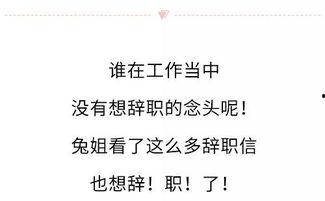 娱乐吃瓜酱辞职信