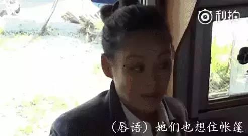 吃瓜娱乐采访是真的吗还是假的,真伪难辨,真相大白