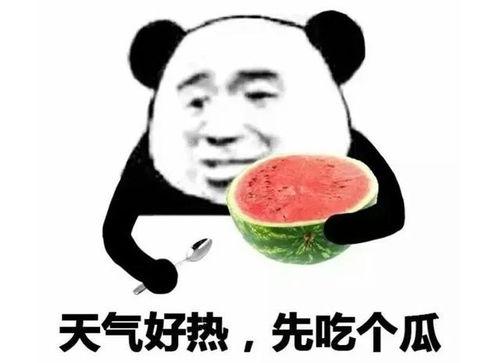 娱乐吃瓜酱现眼包